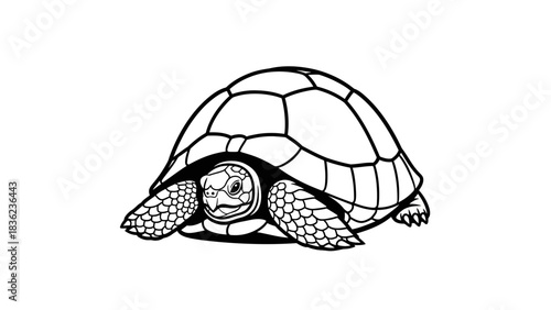 Charming turtle illustration perfect for children's books and educational materials on wildlife conservation