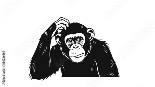 Intriguing chimpanzee scratching head in contemplation, perfect for science or educational materials about wildlife