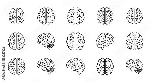 Human brain icons set featuring fifteen different anatomical line art views