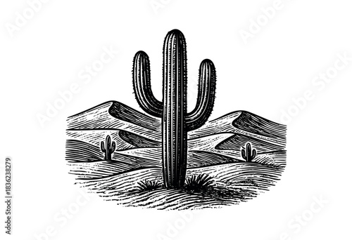 Vintage engraved illustration of a cactus in the desert — stock vector.