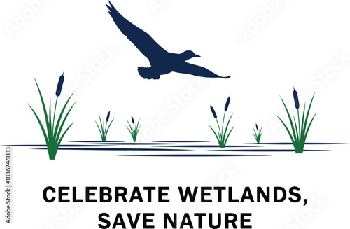 Celebrate wetlands save nature seagull flying over marshland with reeds environmental awareness graphic