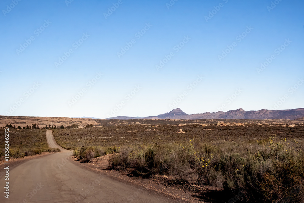 Fototapeta premium Winding Dirt Road Through Arid Plain — Remote Karoo Landscape Drive