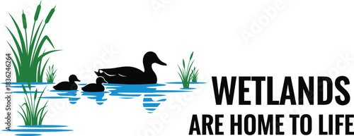 Ducks in wetlands wetlands are home to life conservation nature illustration