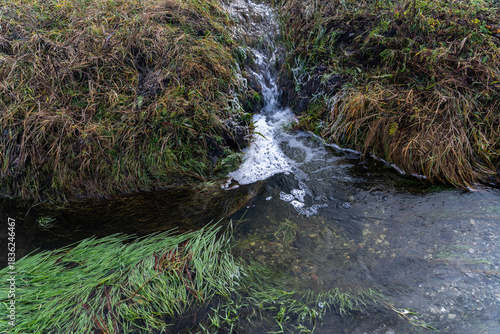 Wastewater flowing in the clean small creek polluting the environment.