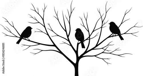 Silhouette, leafless tree, perched birds, black branches, minimal nature, wildlife, artistic design, contrast, peaceful, quiet, winter, stark, elegant, graphic, isolated, white background, 