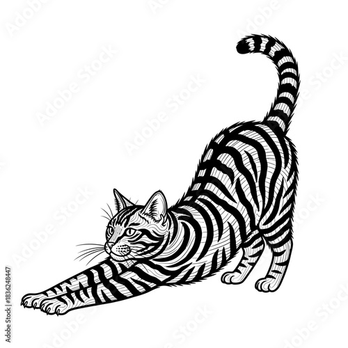 Stretching Striped Cat Illustration - A Detailed Black and White Drawing.