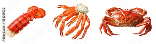 Set of various seafood cuts and whole crab isolated on transparent background