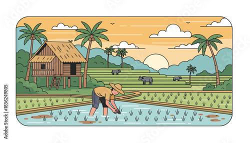 Farmer Working in Rice Field During Sunset.