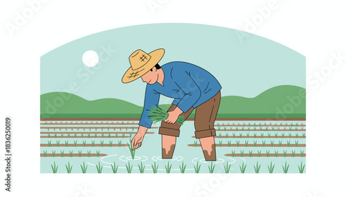 Farmer Working in a Rice Paddy Field.