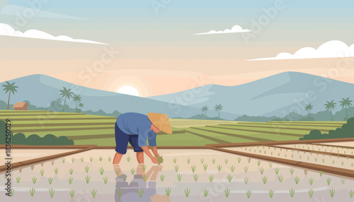 Farm Worker in Rice Field Under Sunlit Sky.