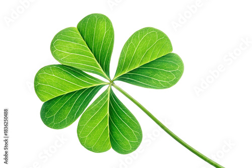 Vibrant Four Leaf Clover Simple Graphic Symbolizing Luck Fortune and Saint Patrick's Day isolated on transparent background 