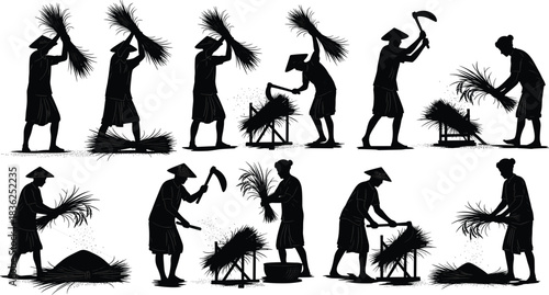 Rice, harvest, process, silhouette, posture, gesture, sickle, thresh, collect, grain, rural, agriculture, labor, traditional, attire, hat, crop, tool, vector, black, pose, setup, flavector