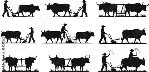 Oxen, farming, silhouette, posture, gesture, plow, guide, whip, soil, field, rural, agriculture, traditional, labor, harness, walk, sit, vector, black, pose, setup, flavector