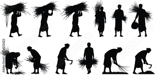 Harvest, bundle, crop, silhouette, posture, gesture, carry, head, shoulder, sickle, field, rural, manual, labor, agriculture, traditional, vector, black, pose, setup, flavector