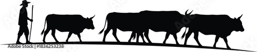 Cattle, herding, silhouette, posture, gesture, walk, guide, staff, hat, cloak, boot, slope, rural, agriculture, livestock, traditional, vector, black, pose, setup, flavector