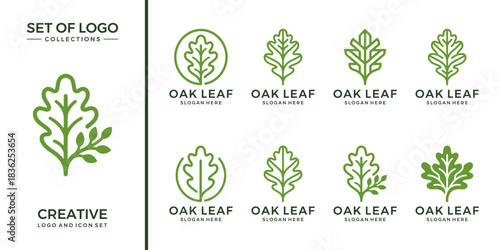 Collections of oak leaf logo. Abstract oak leaf with line style logo design vector illustration