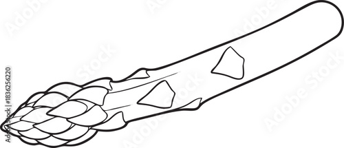 Silhouette of a Asparagus in Natural Pose on White Background