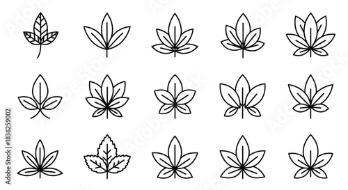 Collection of fifteen stylized cannabis or maple leaf icons in line art form