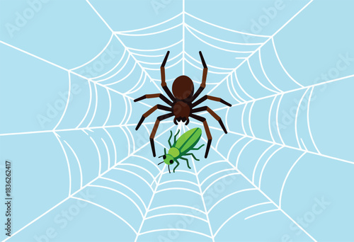A spider with a captured insect in its web, a stylized illustration on a light blue background