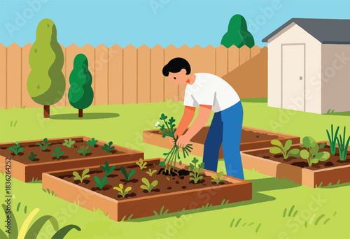 Illustration depicts a person tending a raised bed garden in a yard, removing weeds with a shed and trees in background