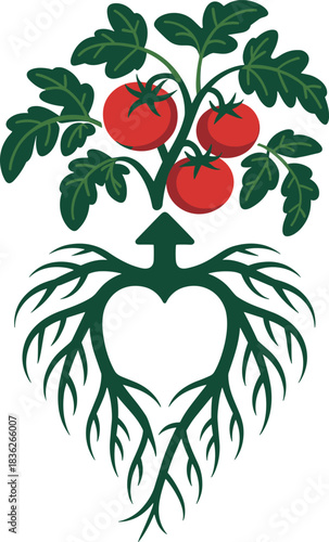Minimalist vector illustration of a tomato plant with a heart-shaped root system and an upward arrow, symbolizing organic growth, healthy gardening, farm-to-table love, and sustainable lifestyle