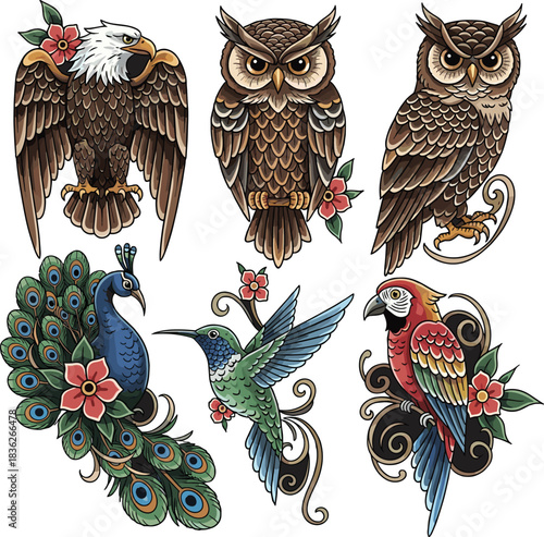 Set of colorful vector illustrations of various birds in vintage traditional tattoo style, featuring eagle, owl, peacock, and hummingbird with 