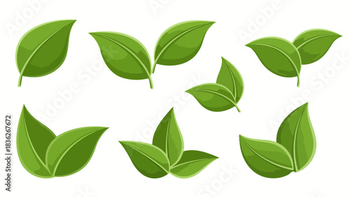 Set of fresh green leaves, vector graphics, perfect for natural and organic themes