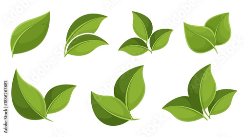 Vector illustration set of fresh green leaves, symbolizing nature, growth, and environmental concepts