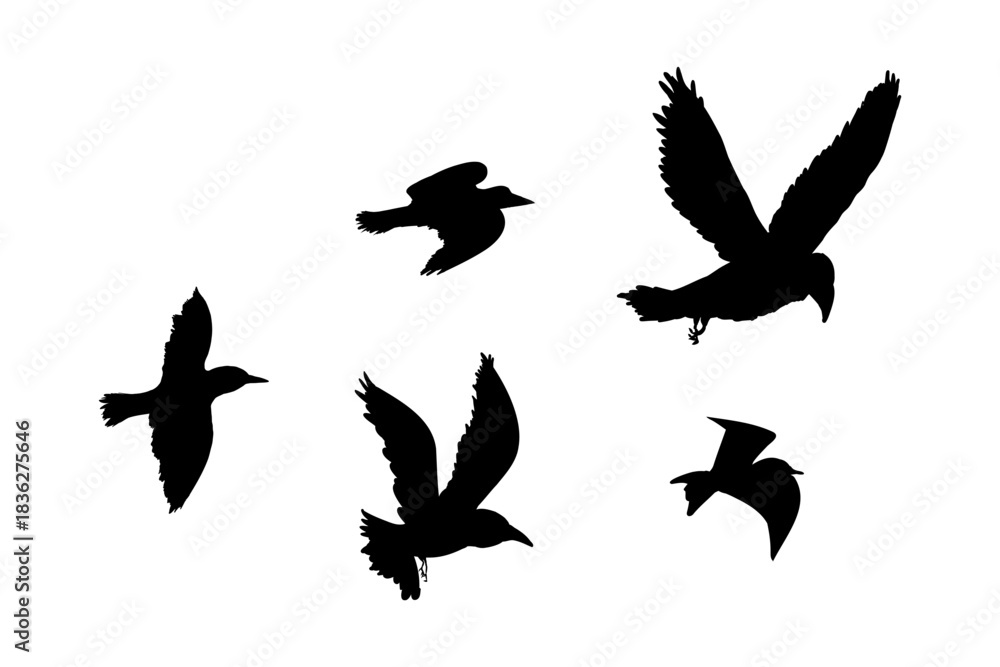 Fototapeta premium Flying flock of birds silhouette, Simple swallows in flight, crows in the sky. Group of birds border.