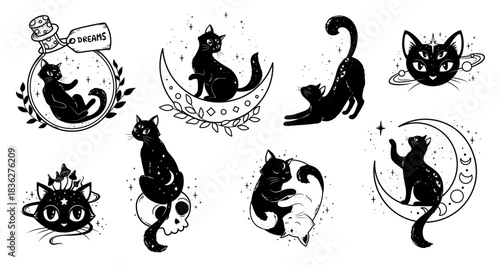 Mystic magic black cats, moon and stars, witchcraft and astrology vector symbols. Mystic celestial cats animals with dreams bottle, skull and mushroom line art signs for gothic tarot or tattoo