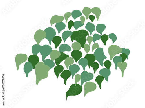 Commercial facility planting design | Vector illustrations of stylish exteriors, shrubs, and symbol trees