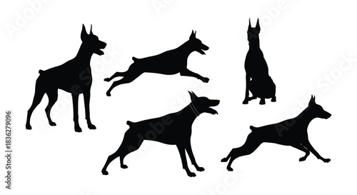 Silhouettes of doberman pinscher dogs in various dynamic poses and positions