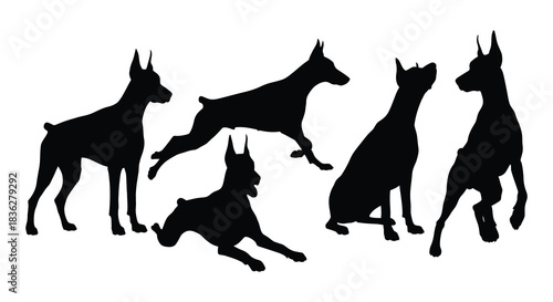 Silhouettes of doberman pinscher dogs in various dynamic poses and positions