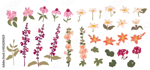 Large minimal flat set of garden flowers and plants: apple tree, daisies, lilies, geranium and more. Vector botanical collection for design projects.