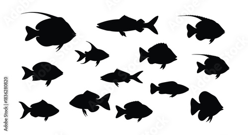 A collection of dark silhouette fish shapes scattered across a white background