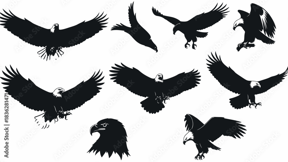 Obraz premium Dynamic collection of majestic eagle silhouettes captured in various powerful flight and poised positions, showcasing the grace and strength of these formidable birds of prey in nature