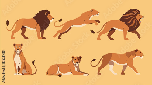 Collection of flat design illustrations showcasing lions and lionesses in various poses and actions, including standing, jumping, roaring, sitting, and resting, capturing the essence of wild felines