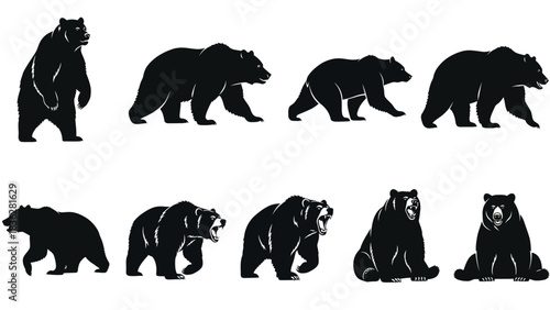 Collection of black bear silhouettes in various dynamic poses. Vector illustration set with walking, standing, and roaring grizzly figures for icons or logos