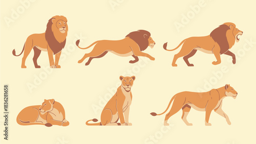 A dynamic set of illustrated male lions and female lionesses in various poses, including walking, roaring, and resting. Flat vector graphic collection
