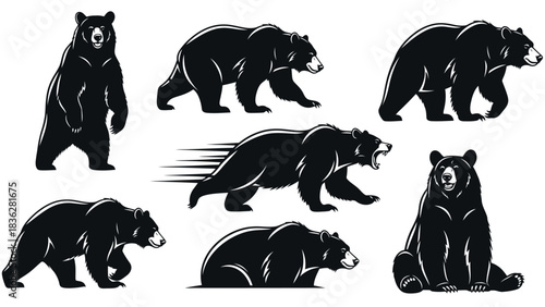 A comprehensive set of black bear silhouettes in various dynamic poses. This vector collection showcases the wild animal in standing, walking, running, and sitting positions