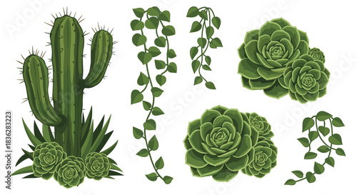 Botanical set of realistic green house plants, including a tall cactus, various echeveria succulents, and hanging ivy vines.