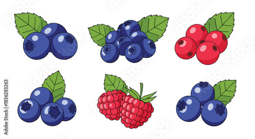Collection of fresh, juicy berries with green leaves, including blueberries, raspberries, and cranberries isolated on white.