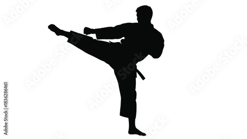 Man performing martial arts kick in silhouette