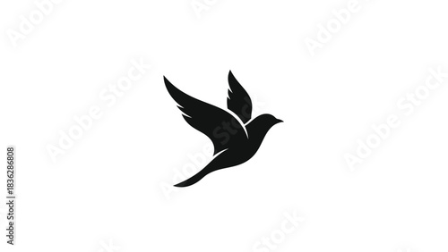 Bird silhouette flying freely in the air