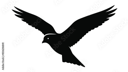 Bird flying silhouette with outstretched wings against white background