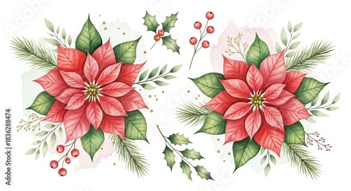 Watercolor poinsettia arrangements with holly and pine branches for festive holiday designs