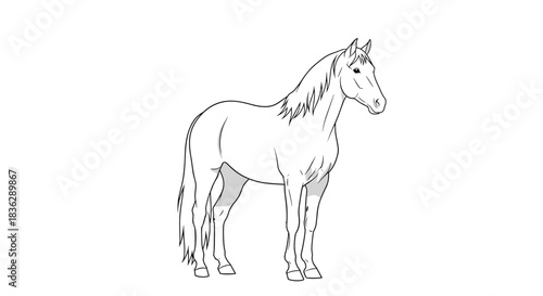 Simple black and white line drawing of a calm and elegant horse standing still, viewed from the side, suitable for coloring.