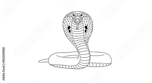 Black and white line drawing of a cobra snake in a striking pose with its hood spread, ready for a coloring book page.