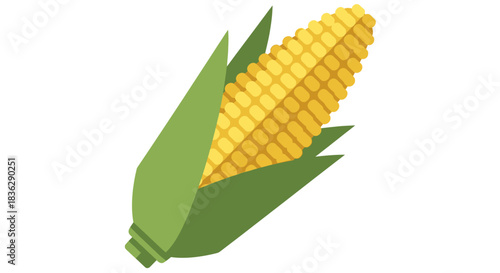A single fresh corn cob with green husks on a white background.