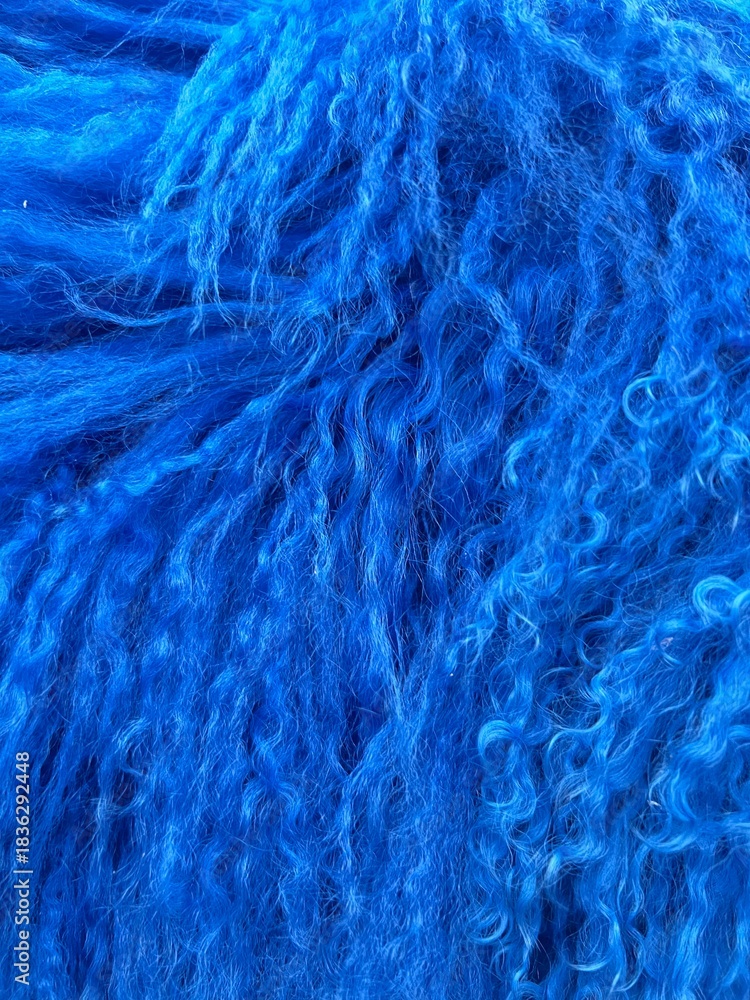 Fototapeta premium blue llama fur texture